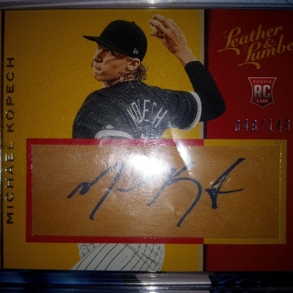 MICHAEL KOPECH RPA - Picture 4 of 6
